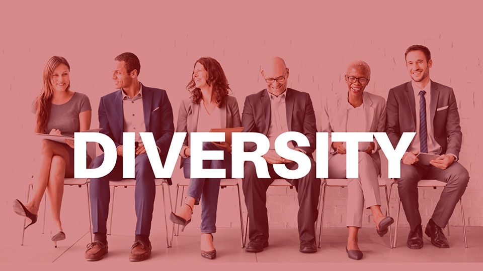 diversity blog